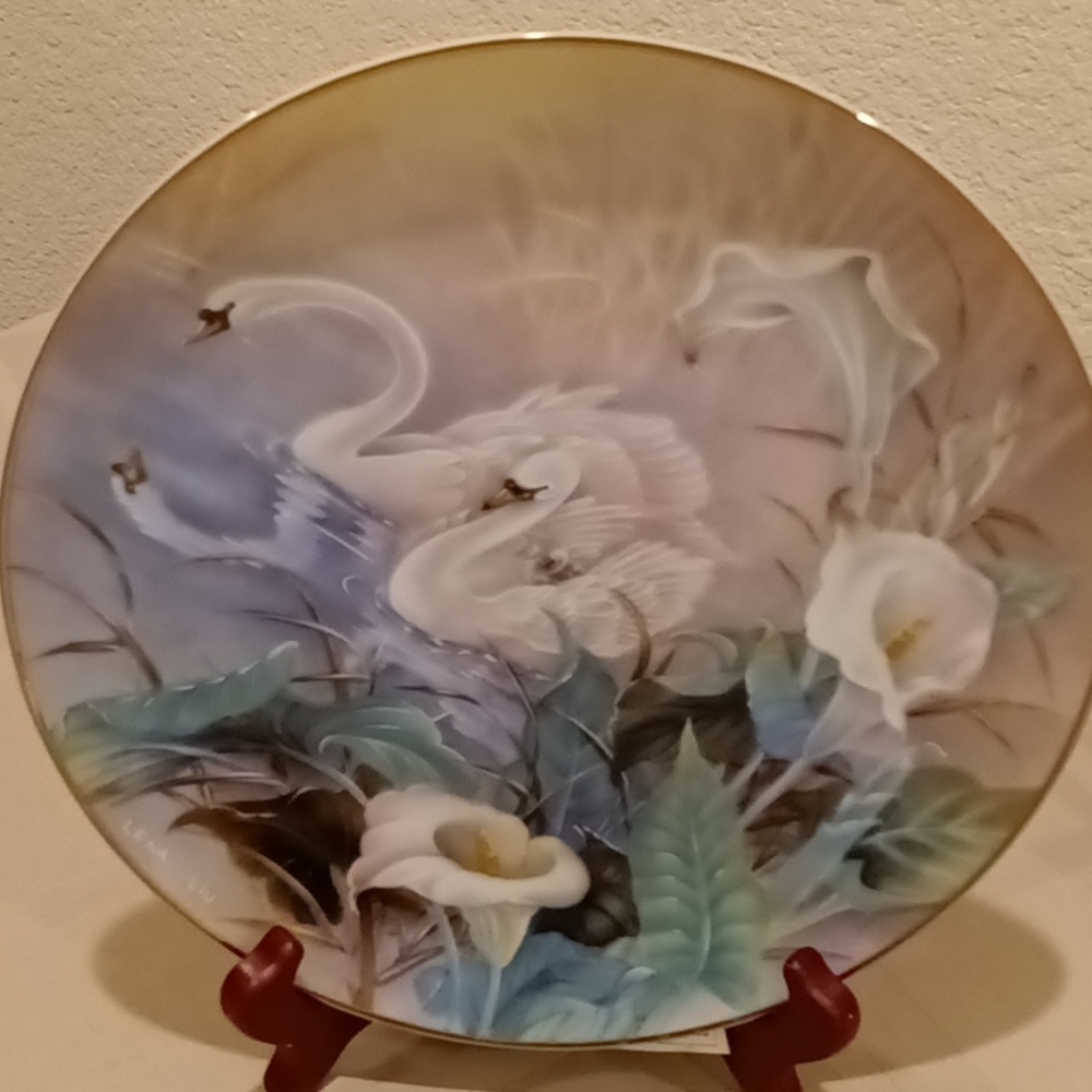 Collector Plate